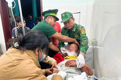 Đà Nẵng: một trưởng thôn người Cơ Tu bị gấu tấn công