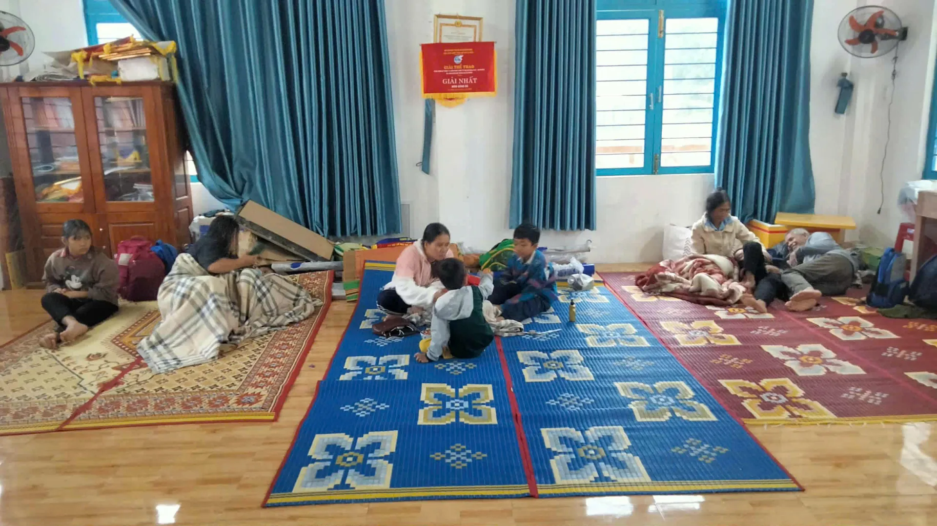 Hình ảnh 12