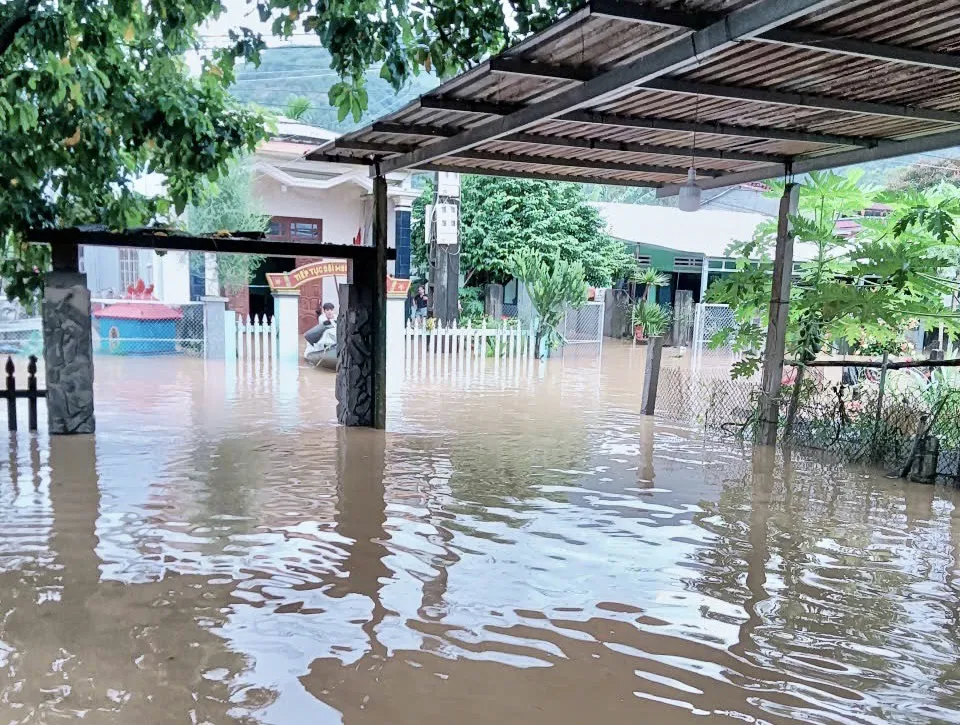 Hình ảnh 2
