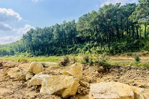 Đà Nẵng: khẩn trương hoàn thiện hạ tầng Khu xử lý chất thải rắn Nam Quảng Nam