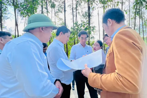 Đà Nẵng: tạo động lực thu hút nhà đầu tư vào Cụm công nghệ Quế Cường