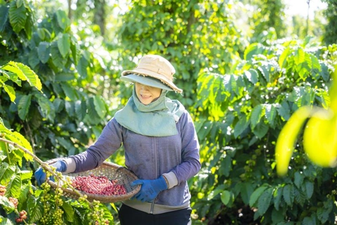 Nestlé Việt Nam và hành trình tiên phong thúc đẩy tiêu dùng xanh
