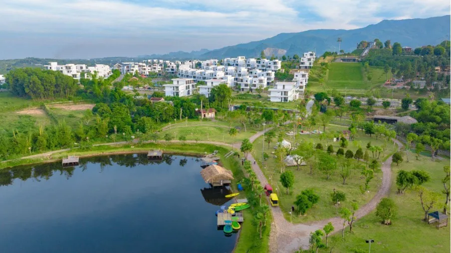 Hình ảnh 3