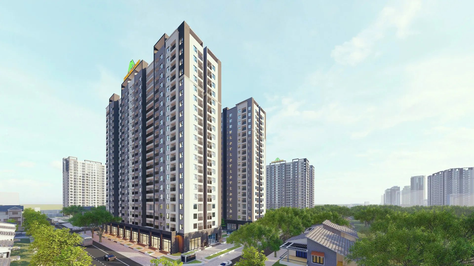 Hình ảnh 2