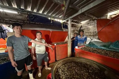 “Thủy tinh lỏng” trong thực phẩm: mối nguy hại trực tiếp đến sức khỏe con người