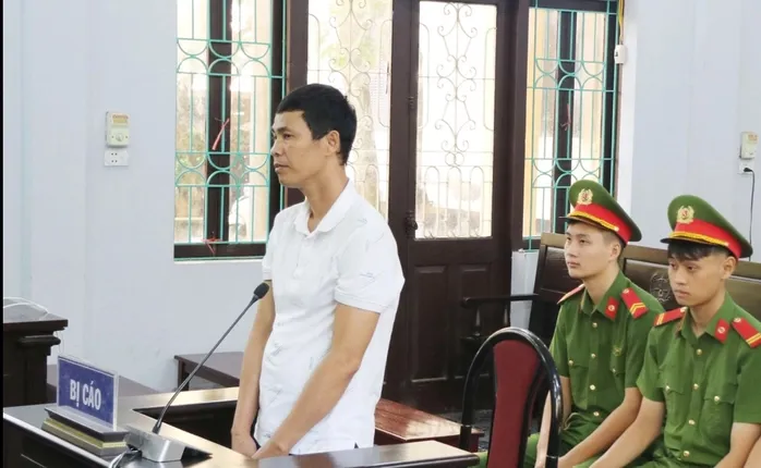 Hình ảnh 1