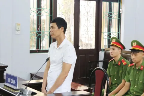 Vụ án gà lôi trắng: Lý do bị cáo được thả tự do ngay tại toà?