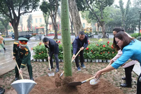 Phường Hoàn Kiếm hưởng ứng Tết trồng cây, làm đẹp “trái tim Thủ đô”