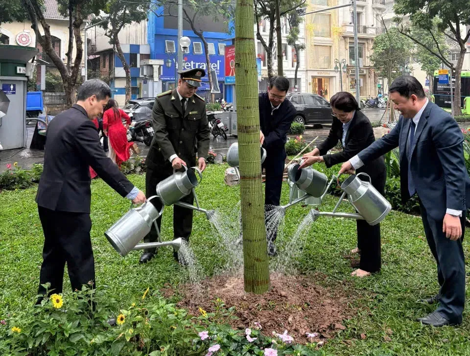 Phường Cửa Nam: Nâng cao nhận thức bảo vệ môi trường từ phong trào Tết trồng cây
