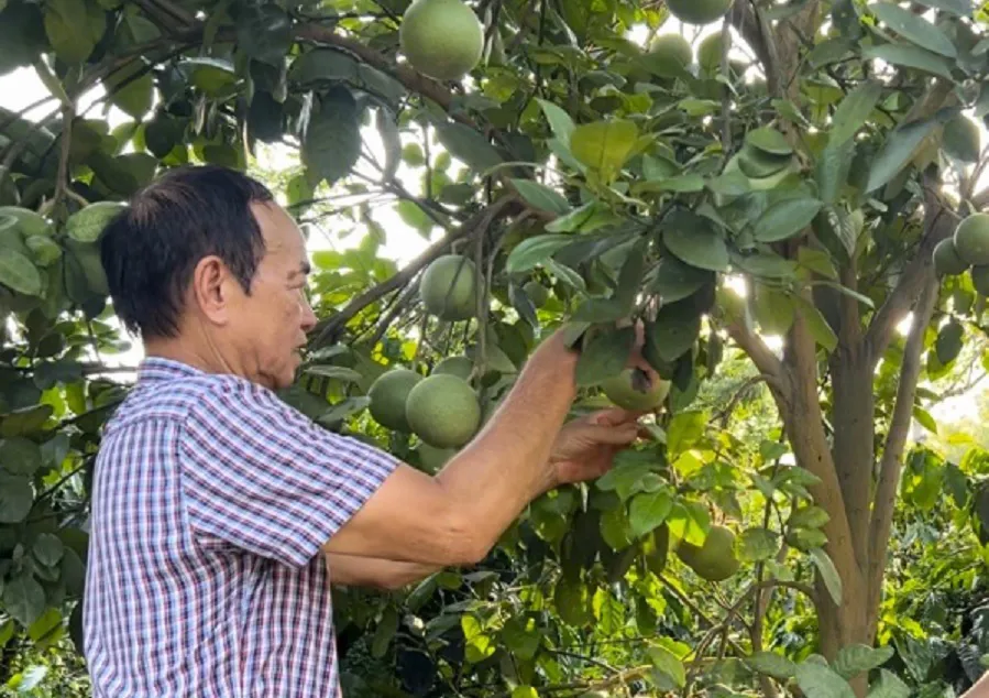 Hình ảnh 1
