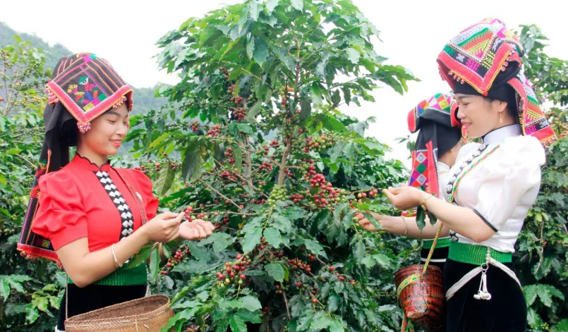 Hình ảnh 1