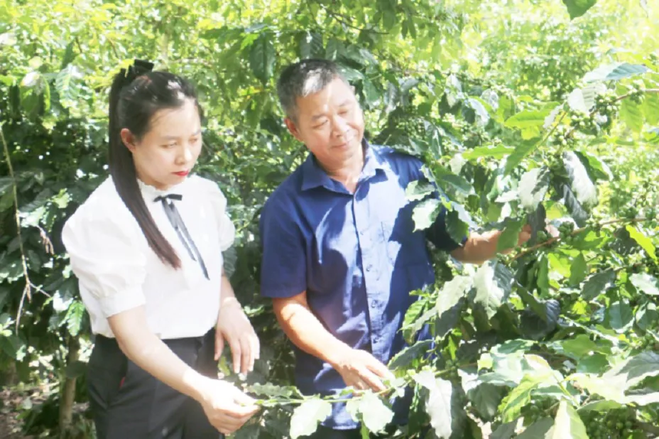 Các hợp tác xã ở Sơn La vươn xa nhờ nguồn vốn ưu đãi
