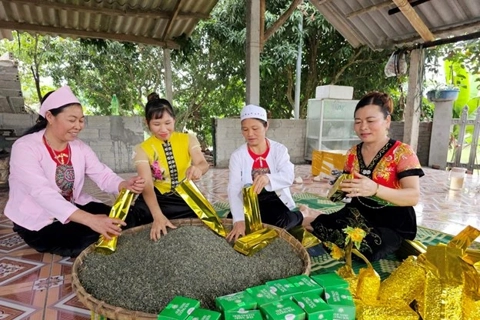 Phú Thọ: phát huy vai trò kinh tế tập thể trong giai đoạn mới