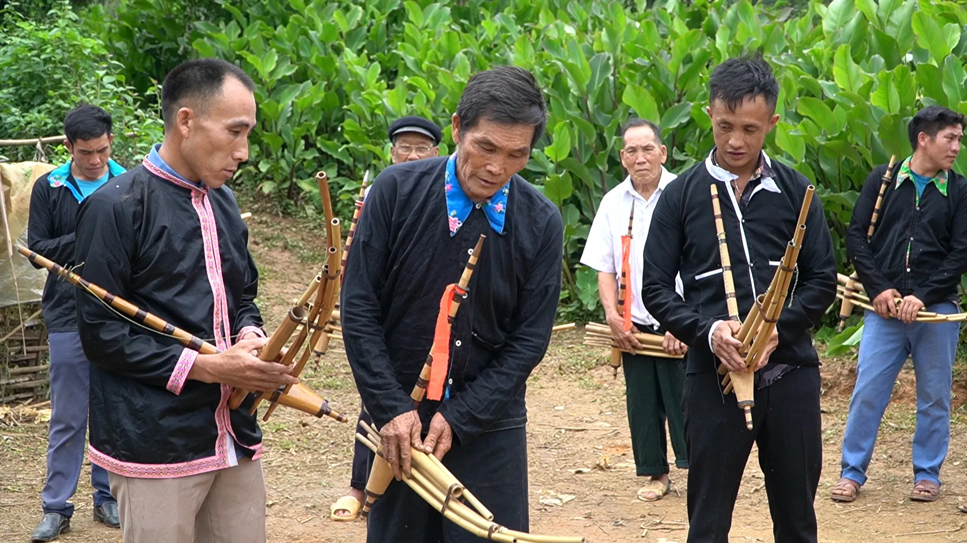 Hình ảnh 1