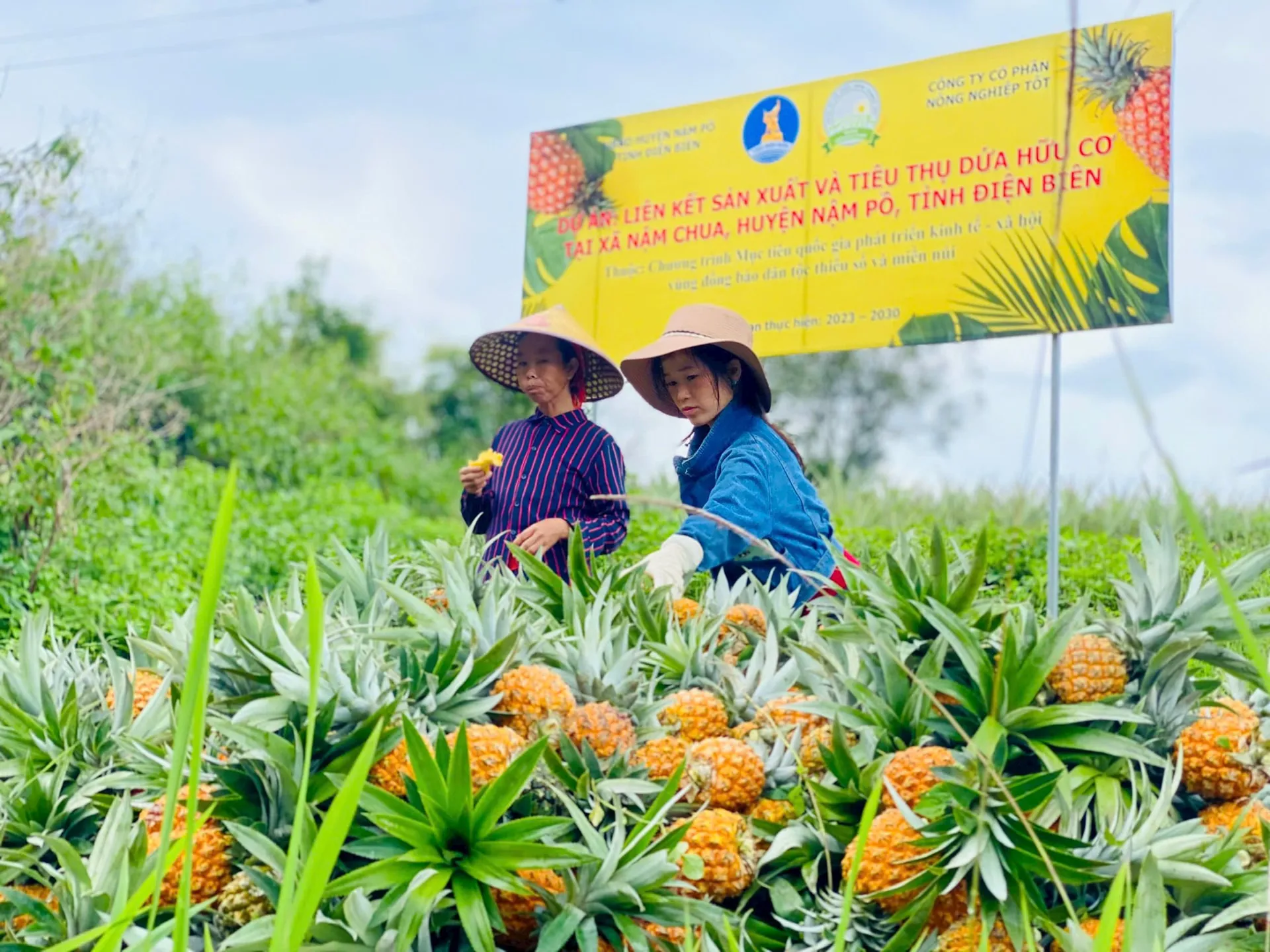 Hình ảnh 1