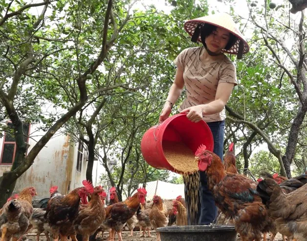 Hình ảnh 1