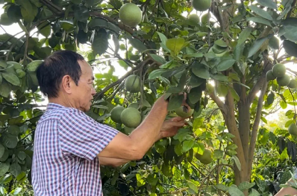 Hình ảnh 1