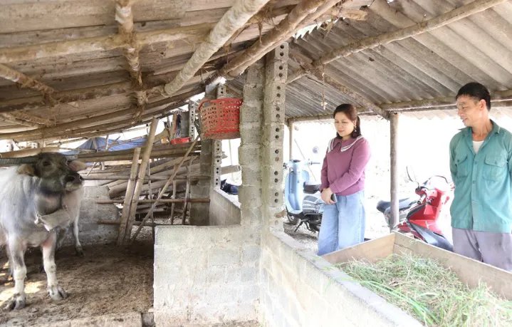 Hình ảnh 1
