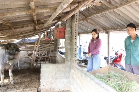 Hòa Bình: đồng hành cùng người dân phát triển kinh tế