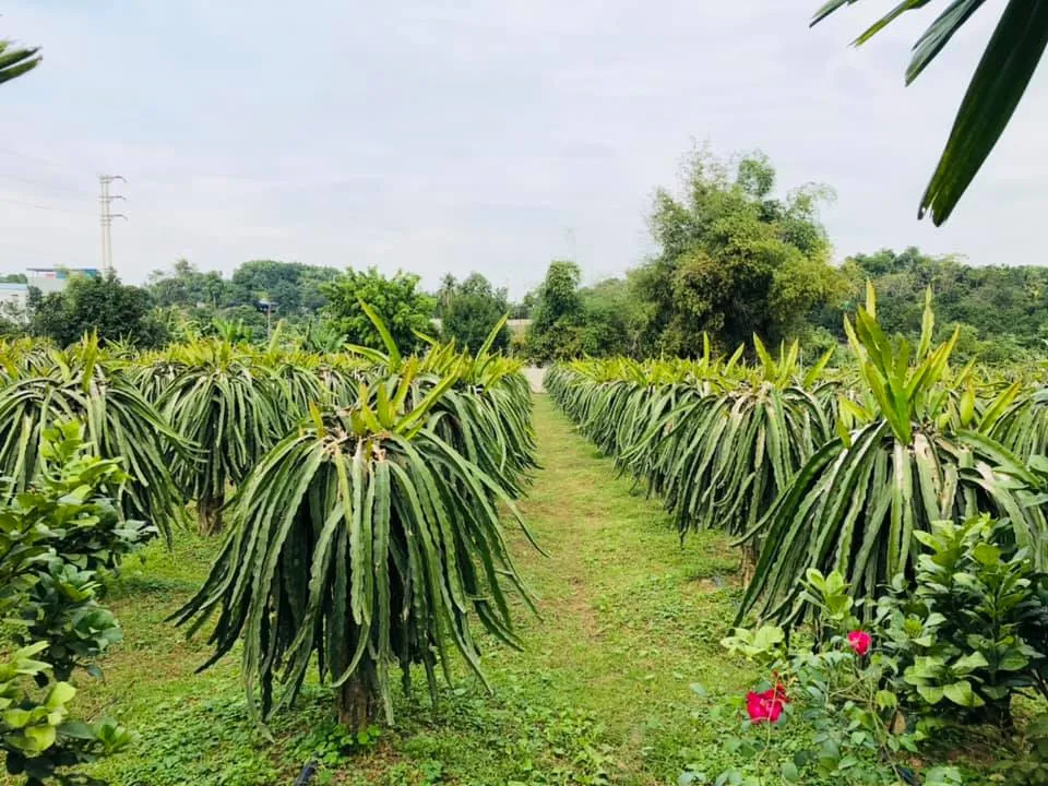 Hình ảnh 1