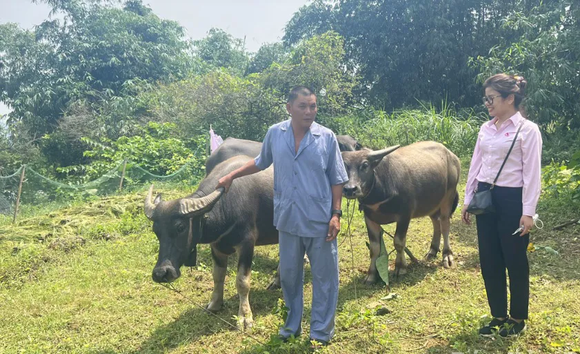 Hình ảnh 1