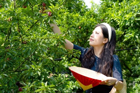 Sơn La: phát triển nông nghiệp gắn với du lịch