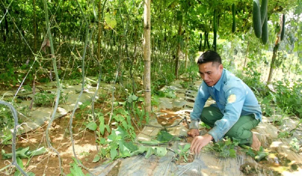 Hình ảnh 1
