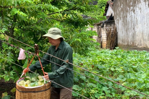 Lạng Sơn: hợp tác xã làm “bà đỡ” cho nông sản, nông dân yên tâm làm giàu