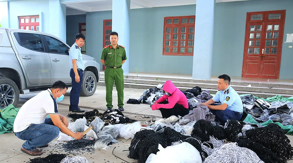 Hình ảnh 1