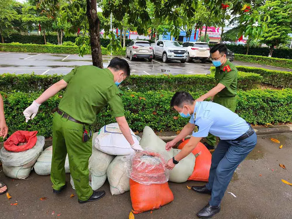 Sơn La: bắt vụ vận chuyển gần 1 tấn nội tạng động vật không rõ nguồn gốc