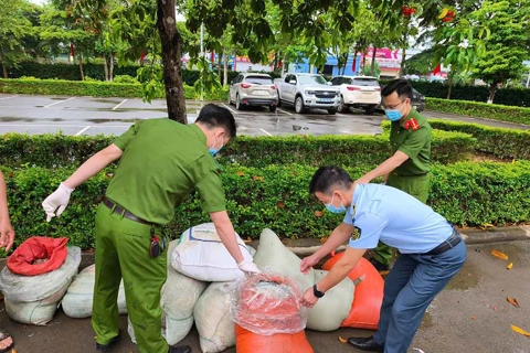 Sơn La: bắt vụ vận chuyển gần 1 tấn nội tạng động vật không rõ nguồn gốc
