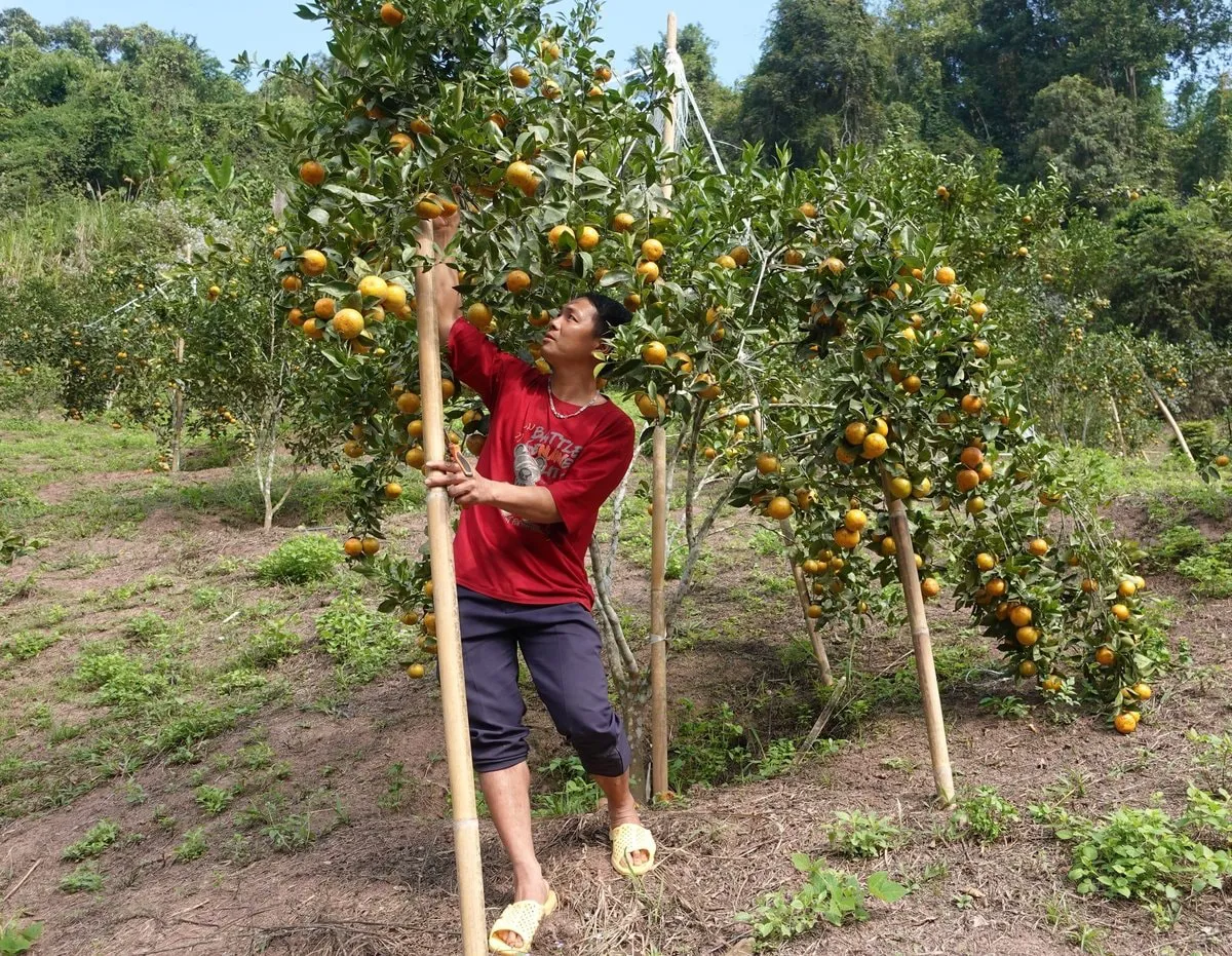Hình ảnh 1