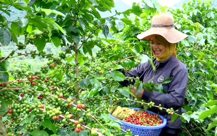 Hình ảnh 1