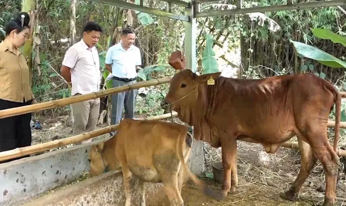 Hình ảnh 1