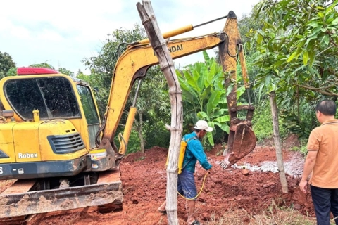 Dịch tả lợn châu Phi tái bùng phát ở Sơn La: siết chặt phòng tuyến, giảm thiểu thiệt hại