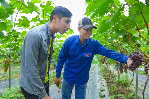 Điện Biên: du lịch nông nghiệp - hướng đi chiến lược trong phát triển kinh tế xanh