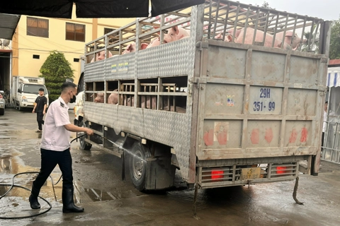 Hà Nội tăng cường phối hợp kiểm soát dịch bệnh gia súc, gia cầm