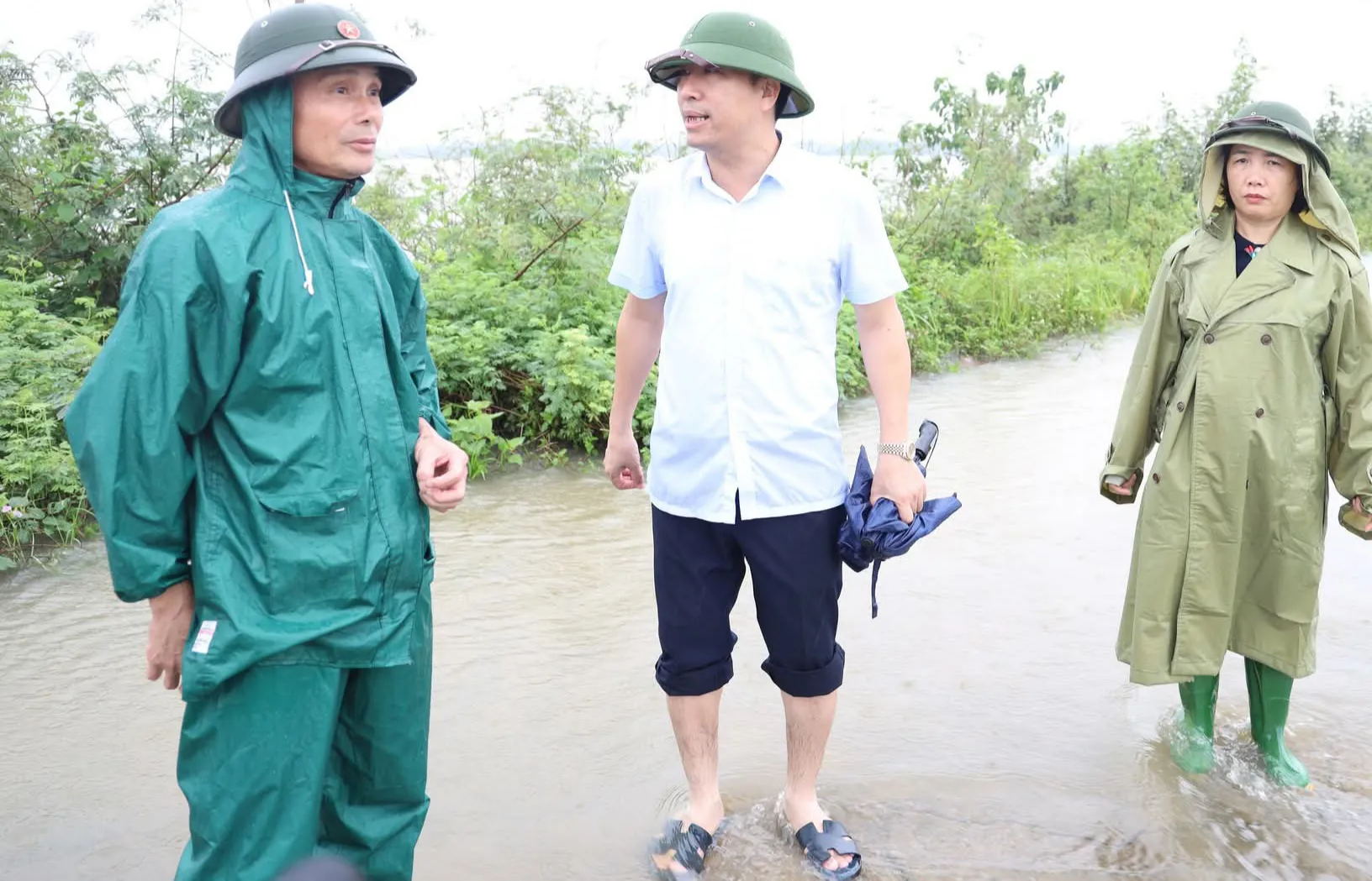 Hình ảnh 1