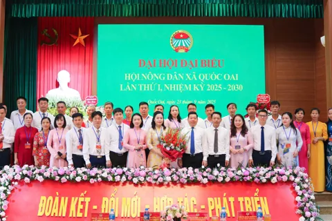 Hội Nông dân xã Quốc Oai chung sức xây dựng quê hương hiện đại