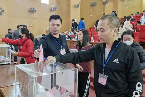 Quốc Oai: thu hơn 82,8 tỷ đồng trong phiên đấu giá đầu tiên sau sáp nhập