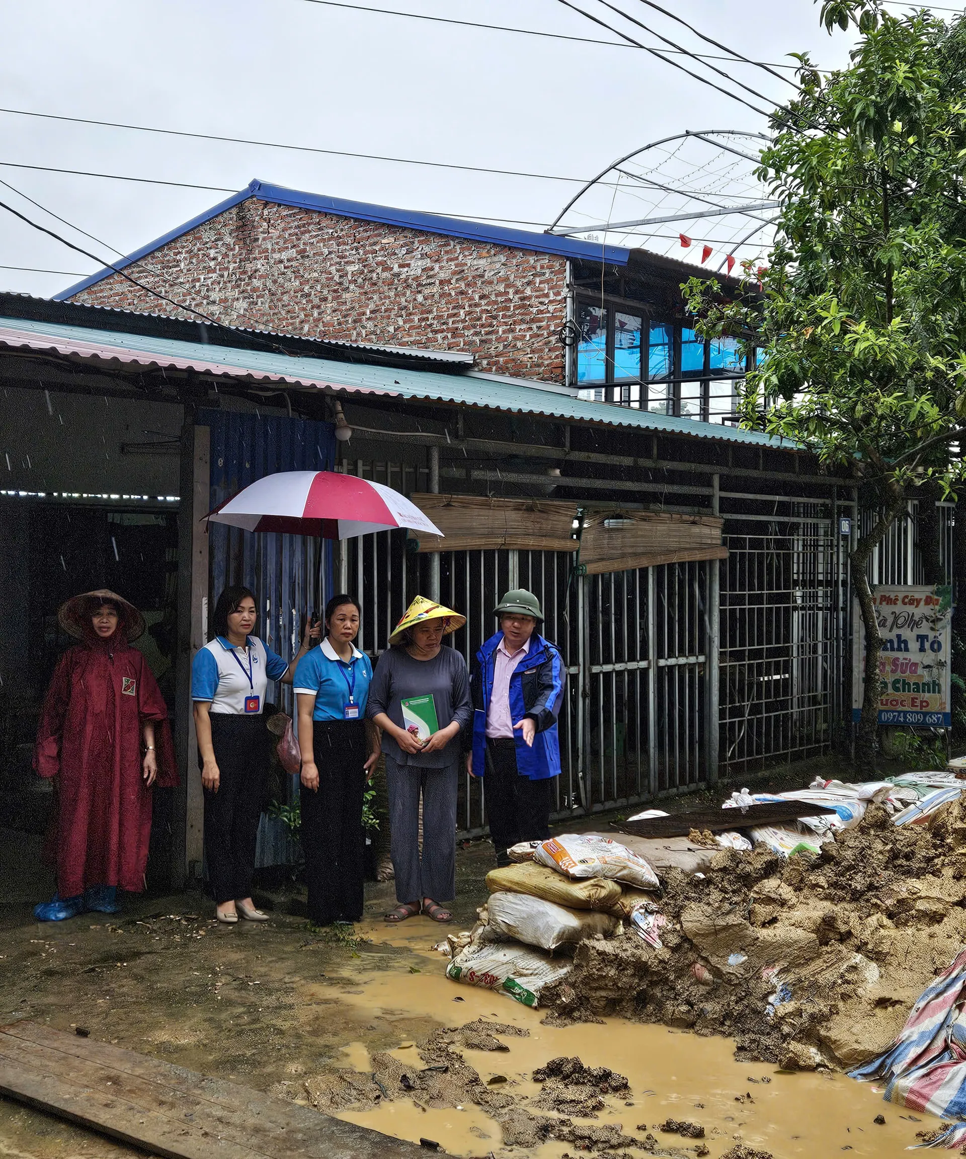 Hình ảnh 2