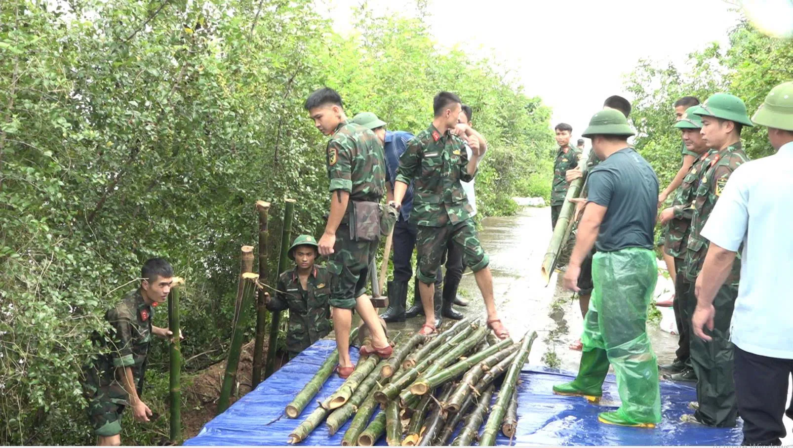 Hình ảnh 1