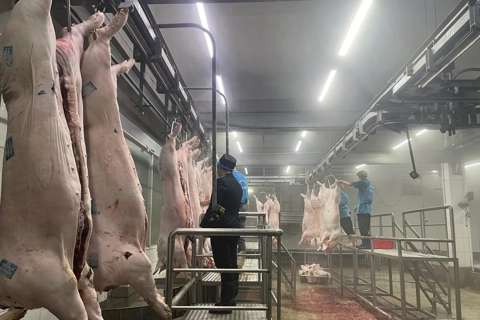 Hà Nội đẩy mạnh kiểm soát giết mổ gia súc, gia cầm