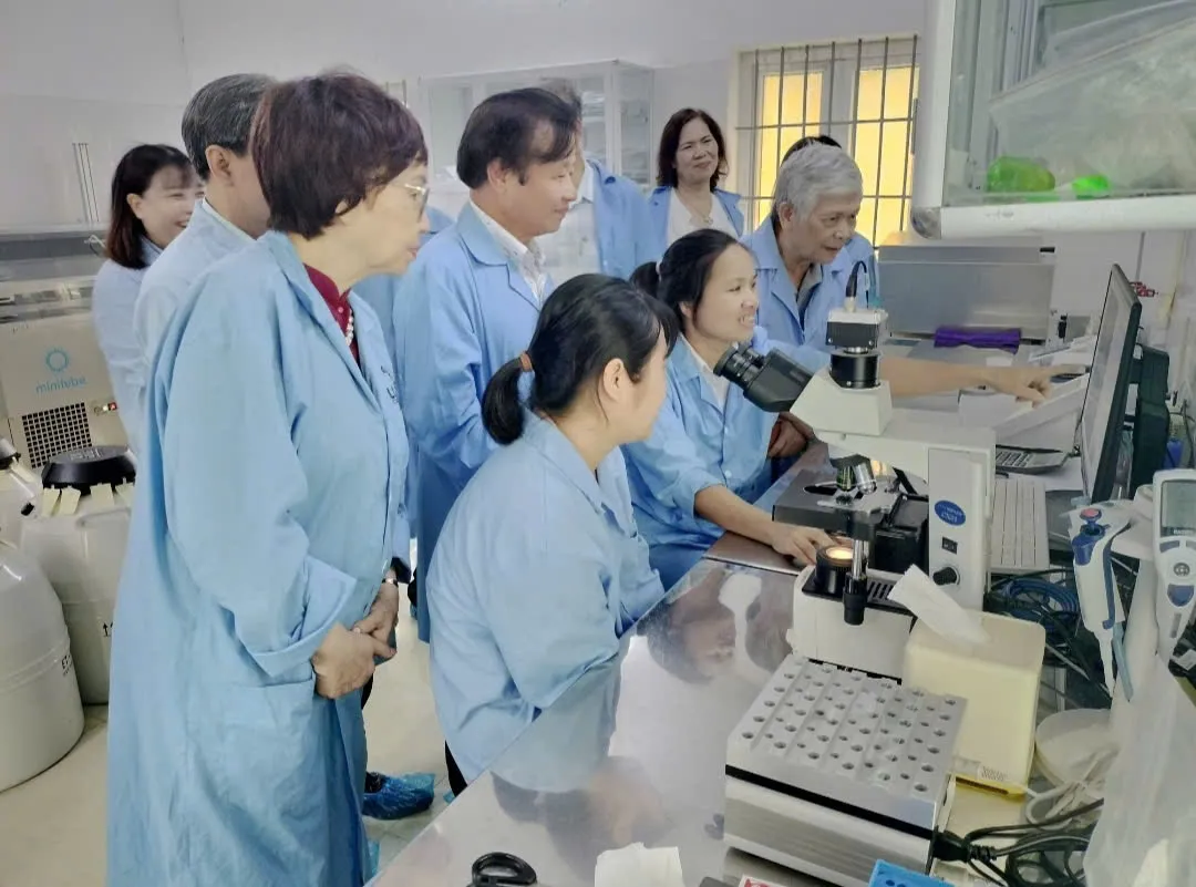 Hình ảnh 1