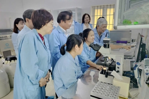 Sản phẩm tham dự Hội thi Sáng tạo Kỹ thuật Hà Nội lần thứ 2: Đảm bảo giá trị ứng dụng