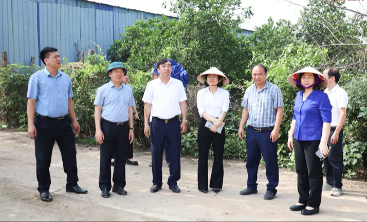 Hình ảnh 2