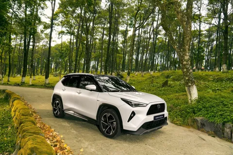 Toyota Việt Nam điều chỉnh giảm giá một số mẫu xe Hybrid, mở rộng cơ hội tiếp cận công nghệ xanh
