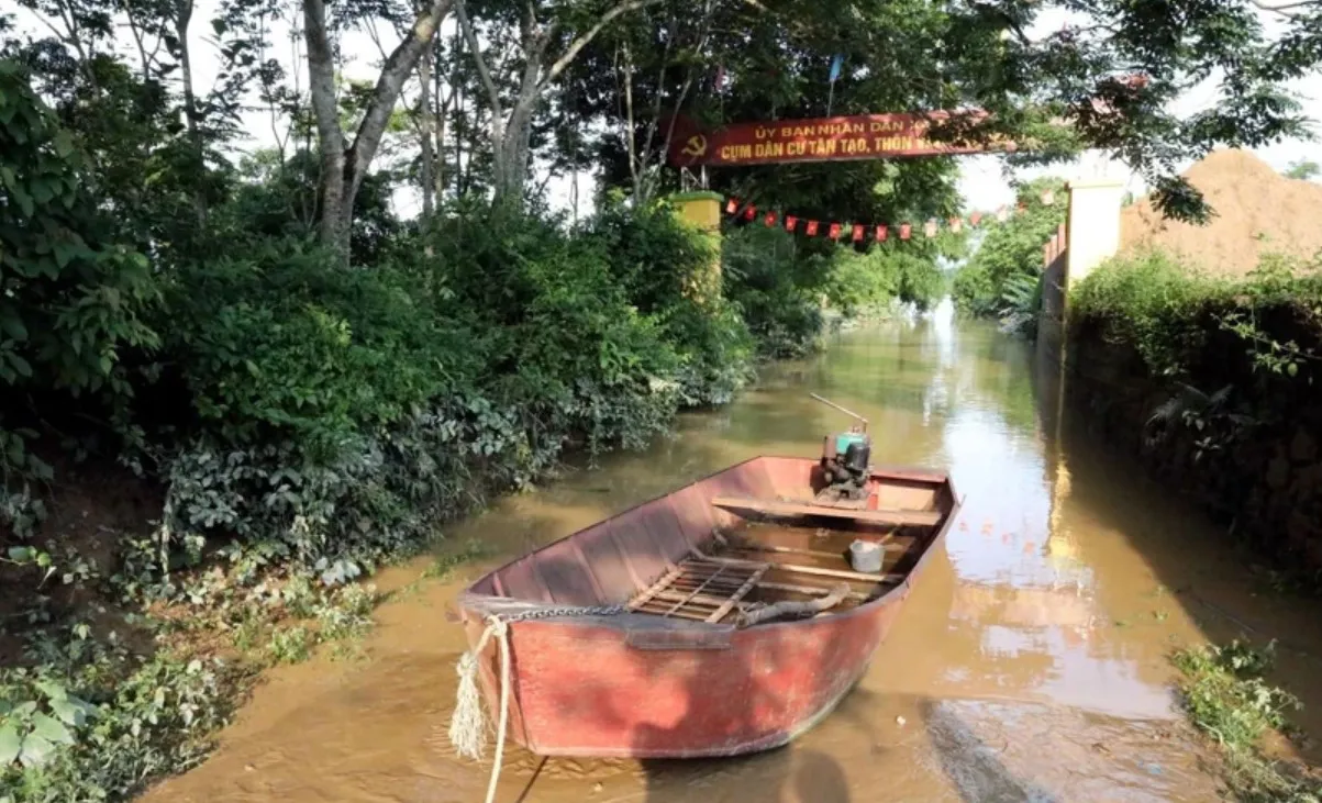Hình ảnh 1