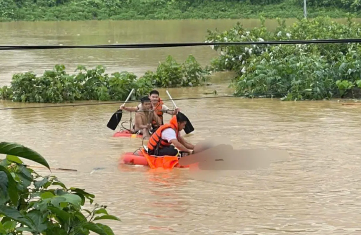 Hình ảnh 2