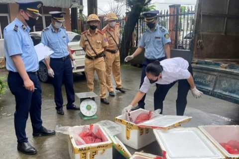 Phú Thọ: tiêu hủy 112kg nội tạng trâu, bò bốc mùi hôi thối